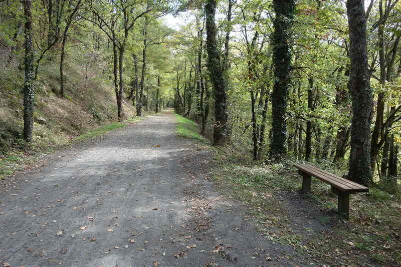 Agrandir l'image de la gare de Pierre Ségade à la halte de Gijounet
