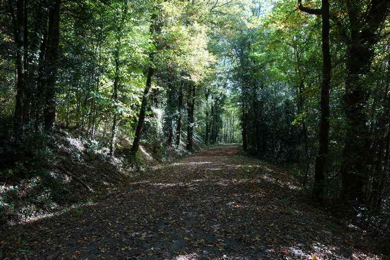 Agrandir l'image de la gare de Pierre Ségade à la halte de Gijounet