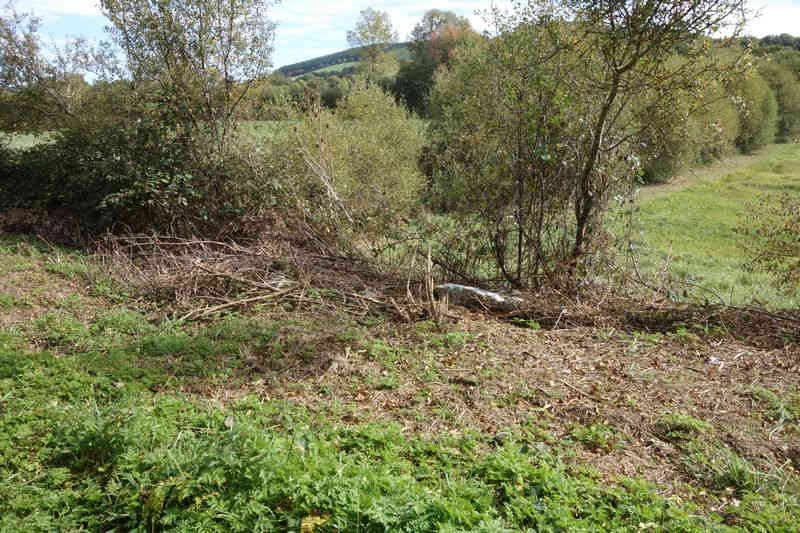 Agrandir l'image Arrêt facultatif de Caylus