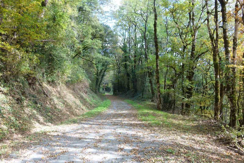 Agrandir l'image de la gare de Pierre Ségade à la halte de Gijounet