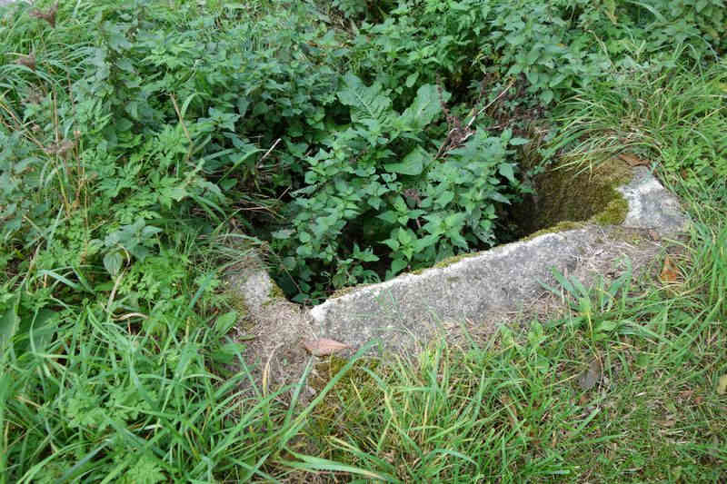 Agrandir l'image de l'arrêt de Caylus à la gare de Moulin-Mage