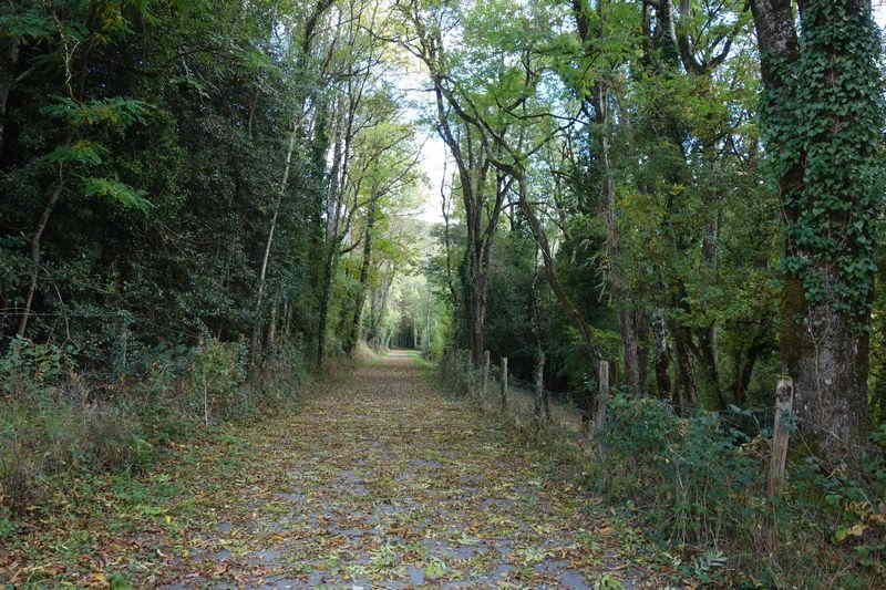 Agrandir l'image de la gare de Pierre Ségade à la halte de Gijounet