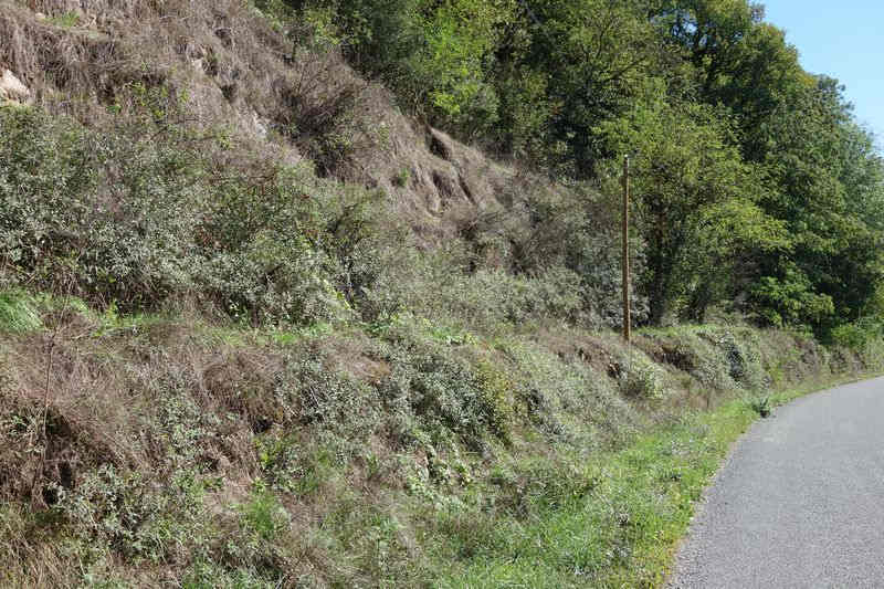 Agrandir l'image De la gare de Pierre-Ségade à la halte de Gijounet