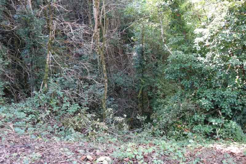 Agrandir l'image De la gare de Pierre-Ségade à la halte de Gijounet