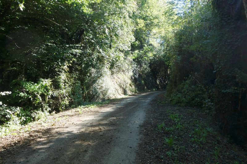 Agrandir l'image De la gare de Pierre-Ségade à la halte de Gijounet