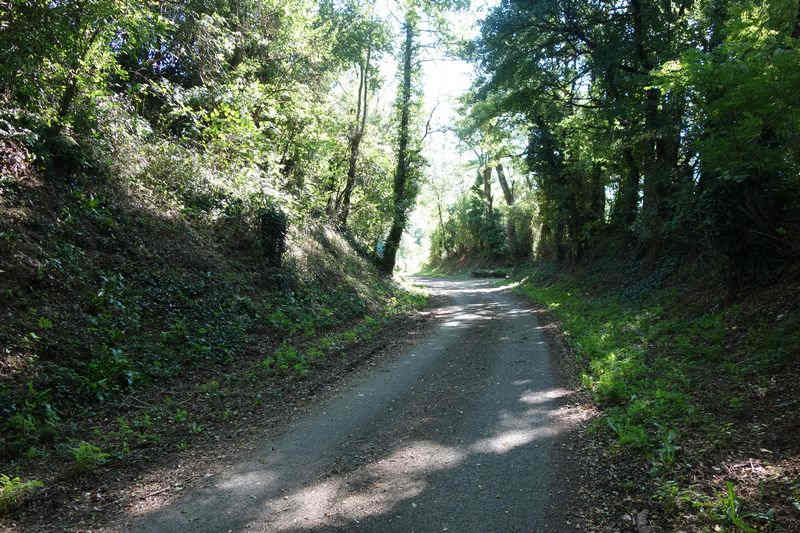 Agrandir l'image De la gare de Pierre-Ségade à la halte de Gijounet