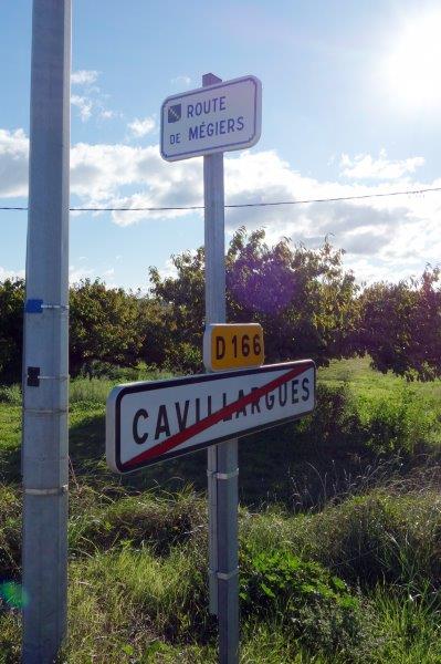 de la gare de Cavillargues à la gare de Saint-Pons-la-Calm - Le Pin