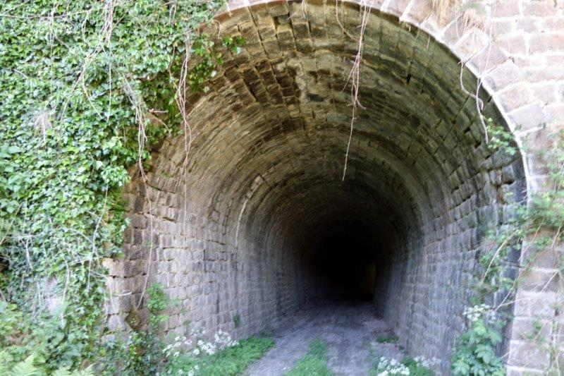 tunnel de Castanet CFD
