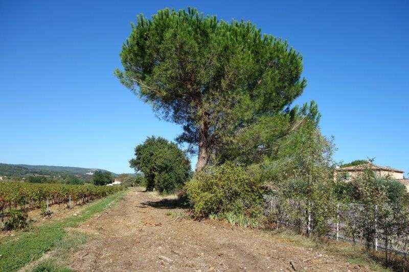 Agrandir l'image De la halte de Massillargues-Attuech à la halte de Tornac