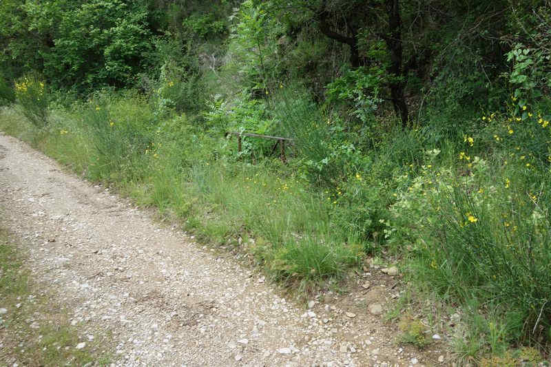 De la gare d'Alzon à la gare de Sauclières